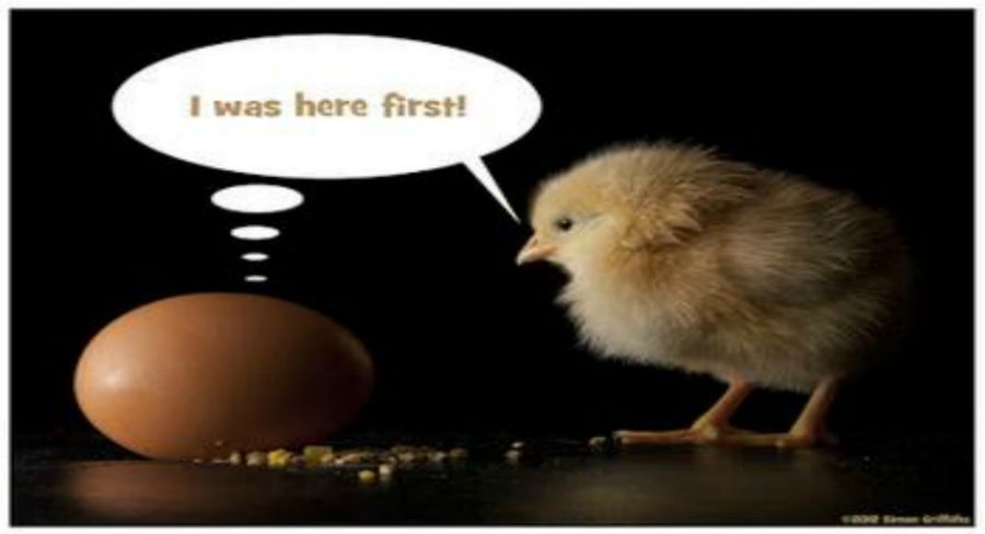 Who came first chicken or egg